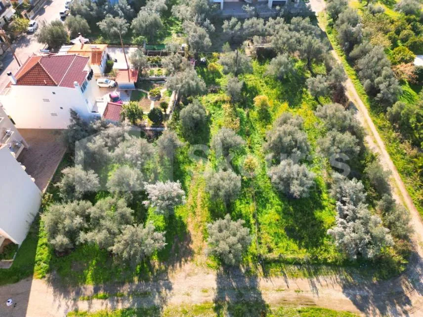 Plot 516m²  - 2