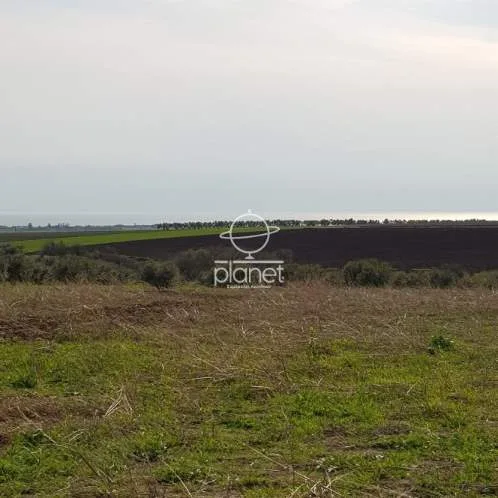 Land Parcel 4200m²  - 2
