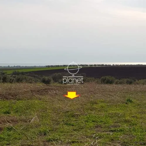 Land Parcel 4200m²  - 3