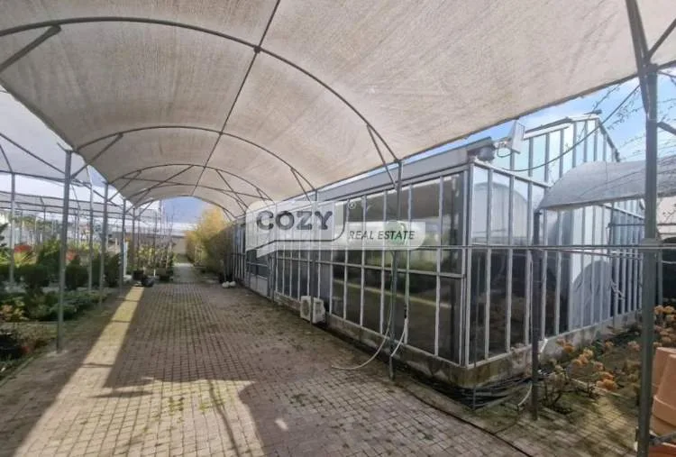 Shop 238m²  - 2