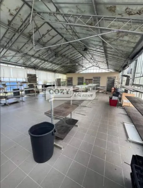 Shop 238m²  - 3