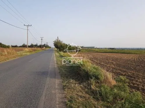 Land Parcel 10000m²  - 2