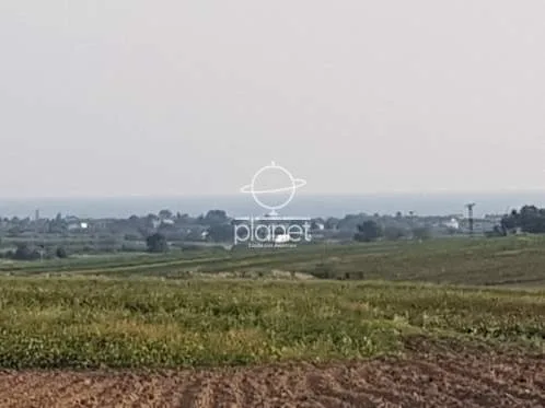 Land Parcel 10000m²  - 3
