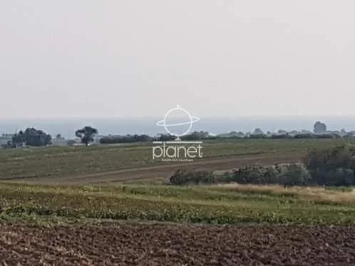 Land Parcel 10000m²  - 4