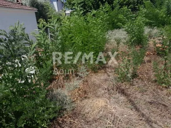 Οικόπεδο 285τ.μ.  - 2