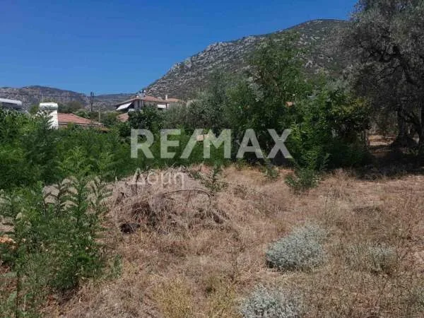 Οικόπεδο 285τ.μ.  - 3