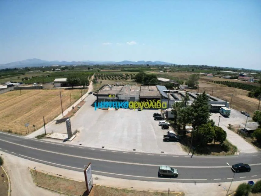 Κατάστημα 419τ.μ.  - 2