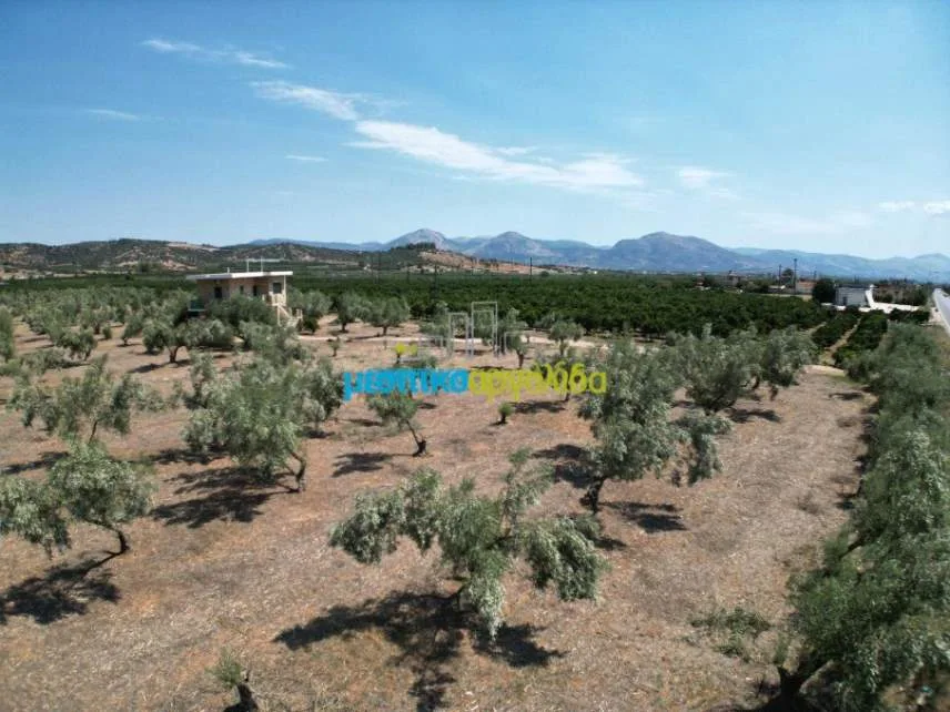 Μονοκατοικία 100τ.μ.  - 3