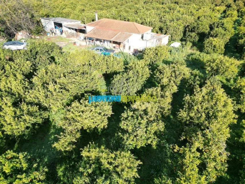 Detached house 72m²  - 2