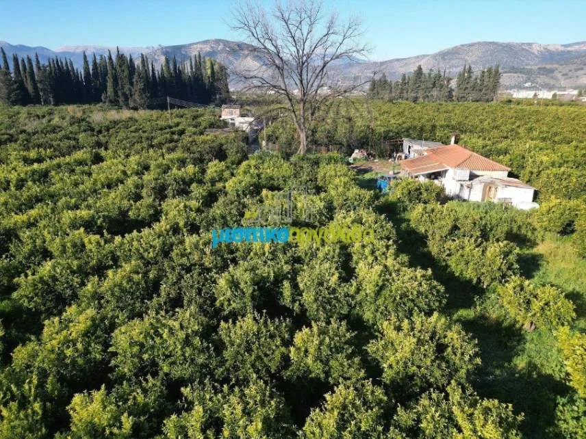 Detached house 72m²  - 3
