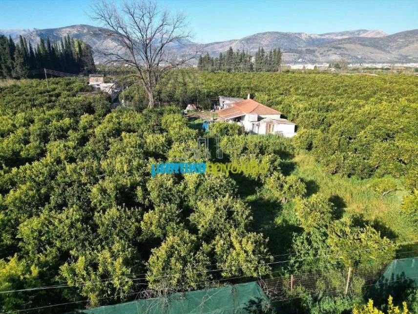 Detached house 72m²  - 5