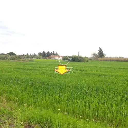 Land Parcel 13500m²  - 4