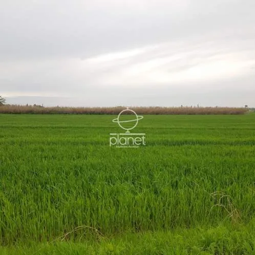 Land Parcel 13500m²  - 5