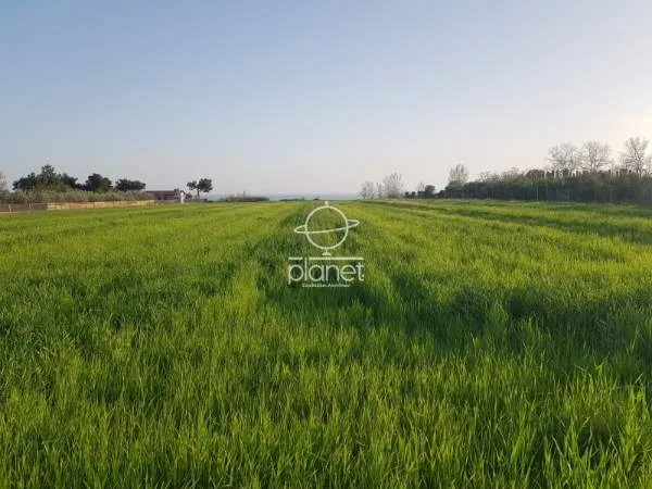 Land Parcel 9400m²  - 2