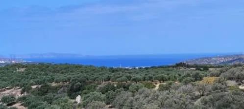 Land Parcel 143000m²  - 3