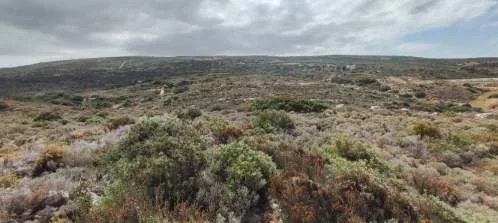 Land Parcel 143000m²  - 4