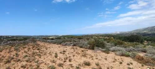 Land Parcel 143000m²  - 5