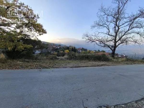 Plot 667m²  - 2