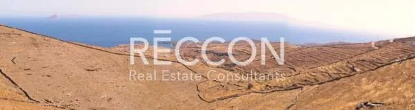 Αγροτεμάχιο 8036τ.μ.  - 3