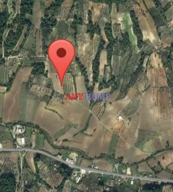 Αγροτεμάχιο 14400τ.μ.  - 2