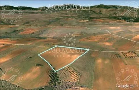 Plot 30000m²  - 4