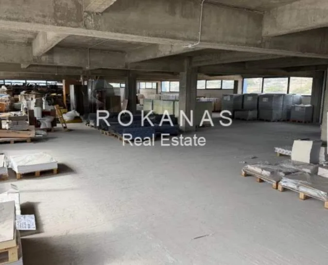 Small Industry / Industrial spaces 1100m²  - 4
