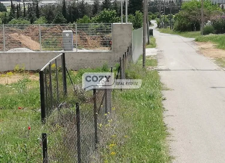 Αγροτεμάχιο 5100τ.μ.  - 2