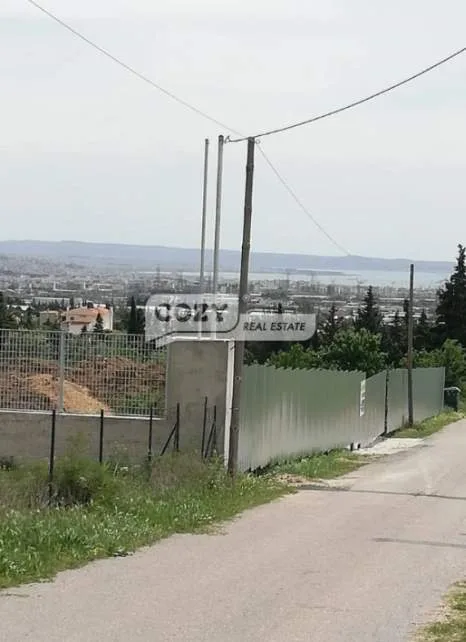 Αγροτεμάχιο 5100τ.μ.  - 3
