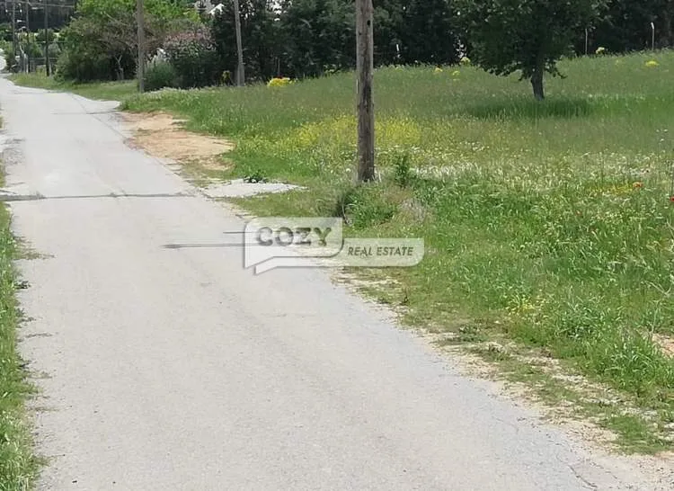 Αγροτεμάχιο 5100τ.μ.  - 5