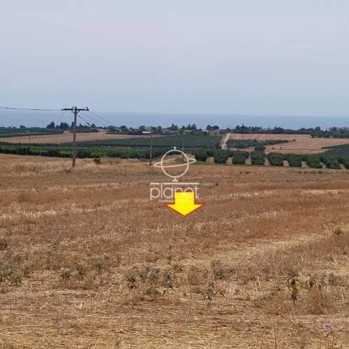 Land Parcel 2600m²  - 2