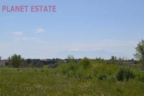 Detached house 460m²  - 5