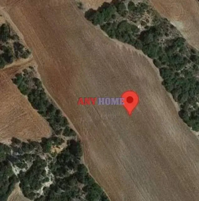 Αγροτεμάχιο 17500τ.μ.  - 3