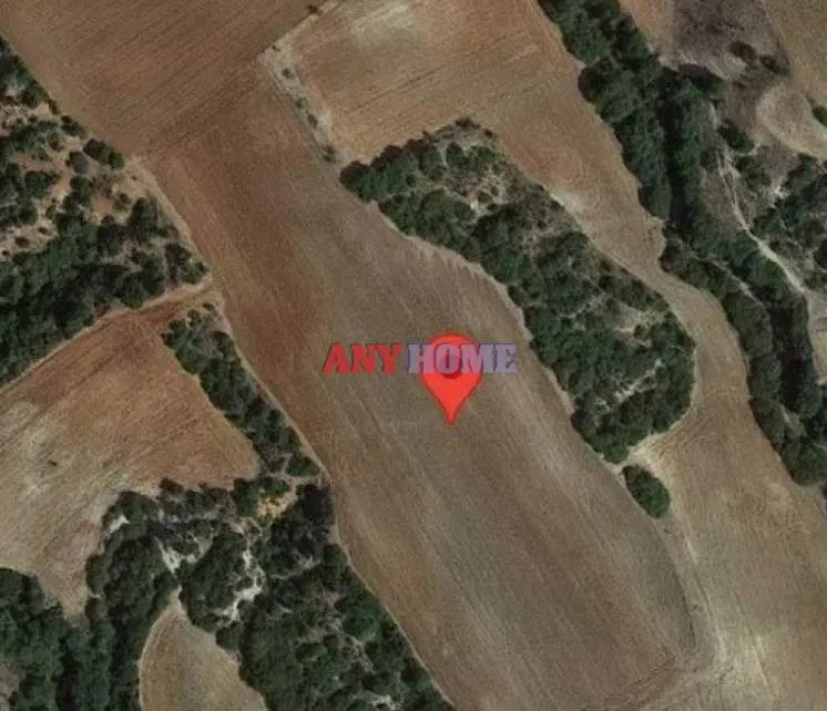 Αγροτεμάχιο 17500τ.μ.  - 4