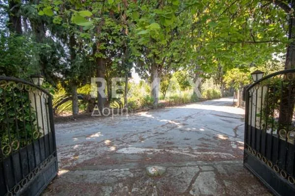 Μονοκατοικία 243τ.μ.  - 5