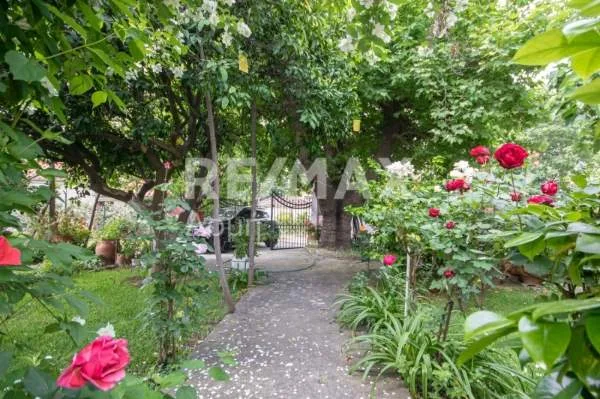 Detached house 45m²  - 3