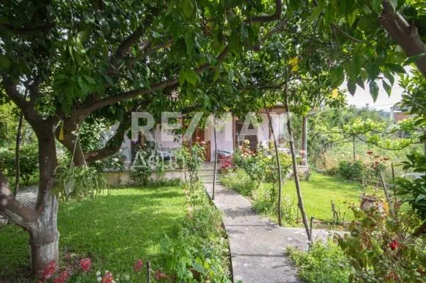 Detached house 45m²  - 5
