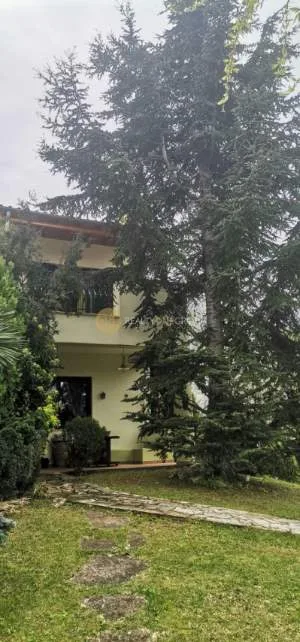 Μεζονέτα 174τ.μ.  - 3