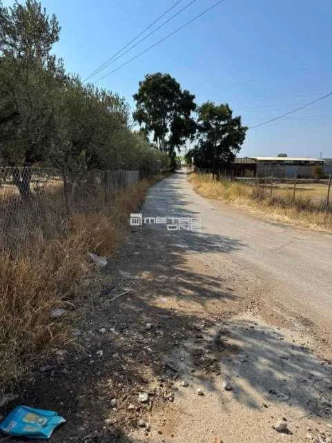 Αγροτεμάχιο 20000τ.μ.  - 3