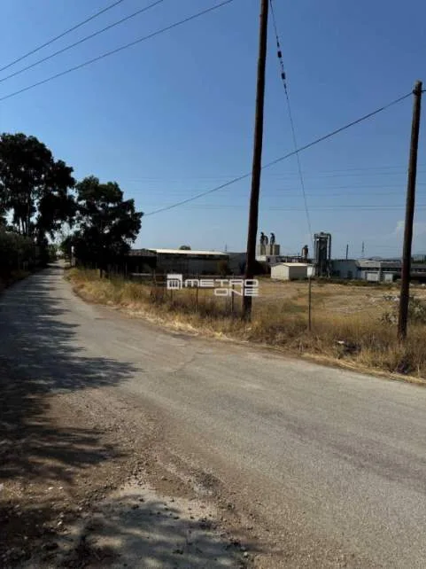 Αγροτεμάχιο 20000τ.μ.  - 5