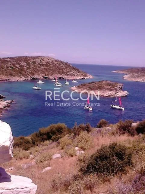 Αγροτεμάχιο 300000τ.μ.  - 3
