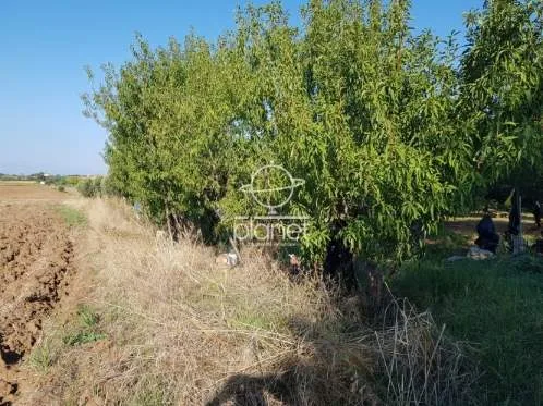 Land Parcel 4235m²  - 5