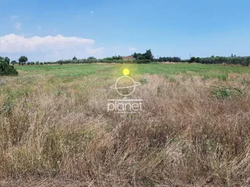 Land Parcel 6500m²  - 2