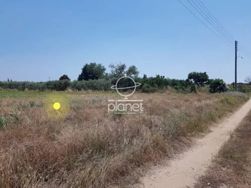 Land Parcel 6500m²  - 4