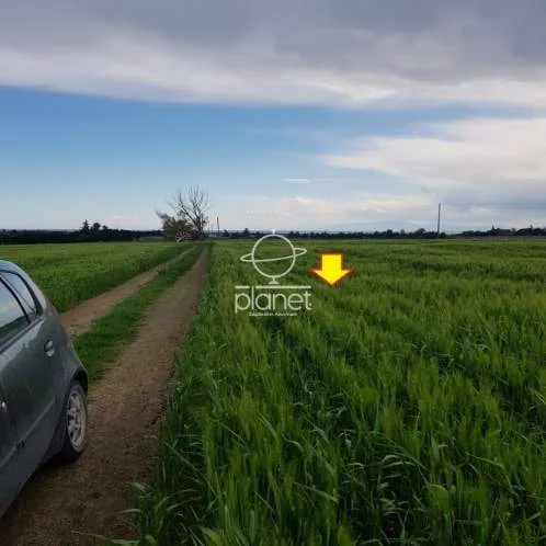 Land Parcel 9675m²  - 2