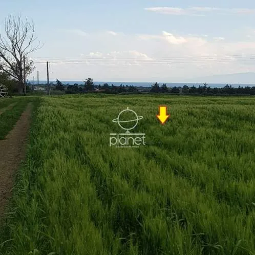 Land Parcel 9675m²  - 3