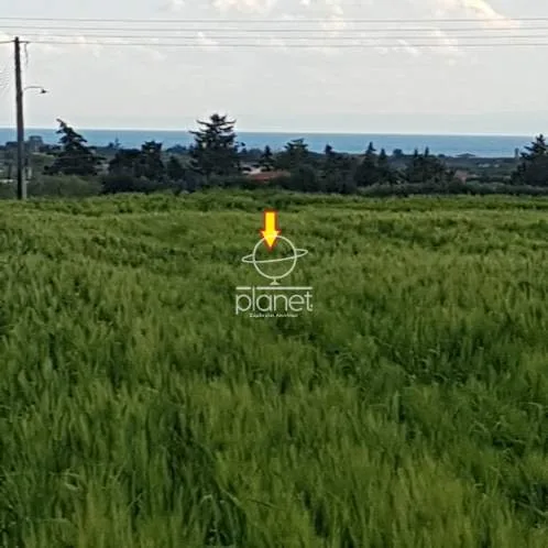 Land Parcel 9675m²  - 4