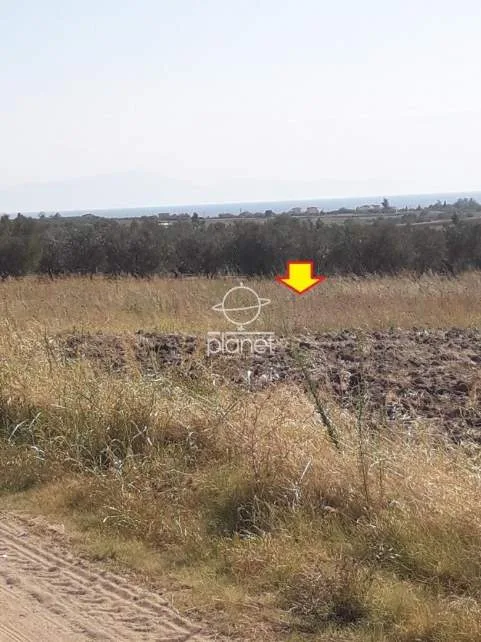 Land Parcel 4250m²  - 3