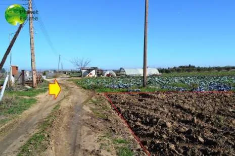 Land Parcel 8600m²  - 3