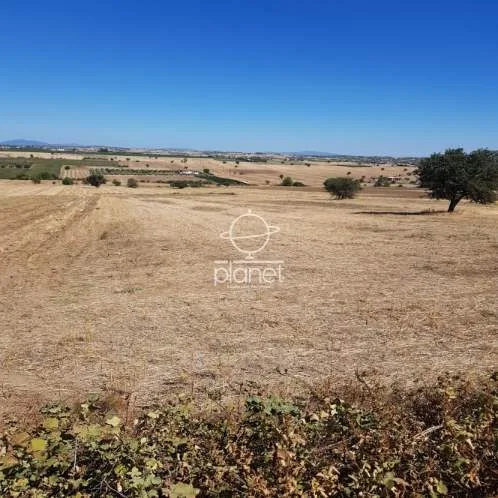 Land Parcel 4660m²  - 2