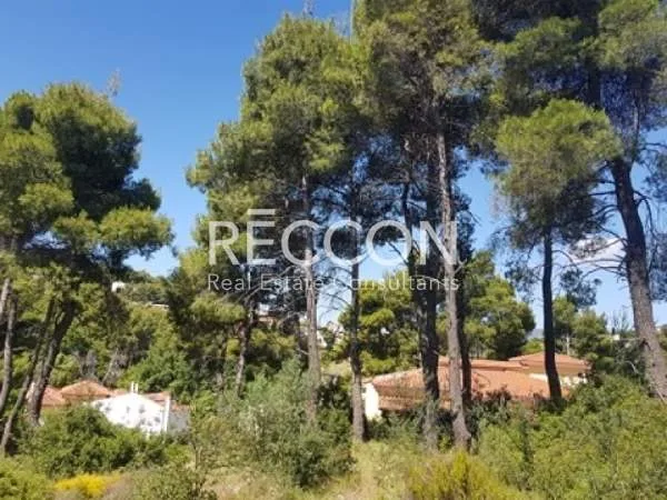 Plot 500m²  - 3